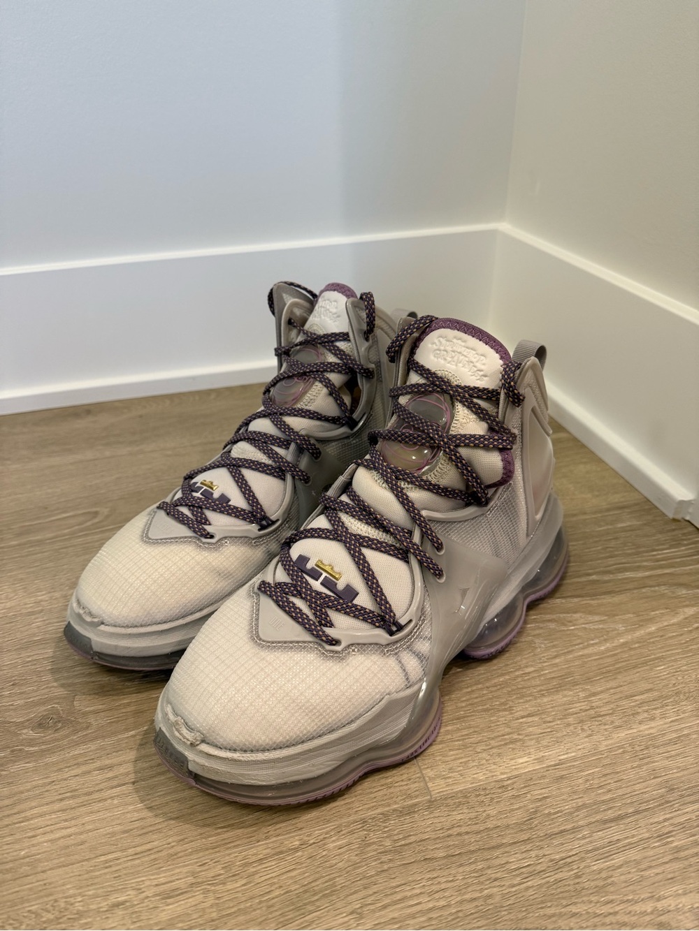 Nike LeBron 19 Strive For Greatness Phantom Canyon Purple Men's Size 8.5 CZ0203-